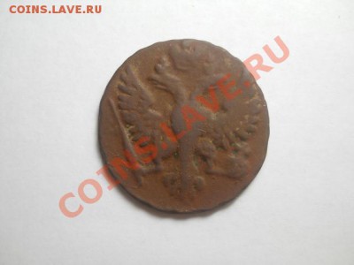 денга 1748г до 27.01.14 22.00 моск - DSCN0362 (640x480)