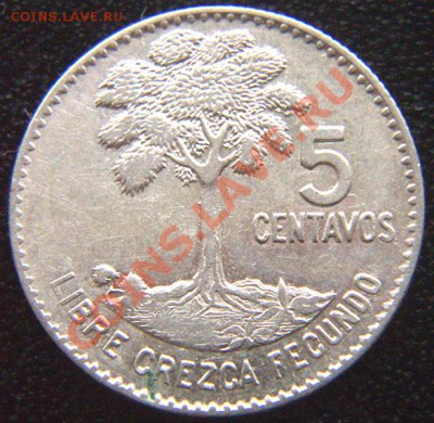 Гватемала_5 сентаво 1961. Серебро; до 26.01_22.14мск - 7303