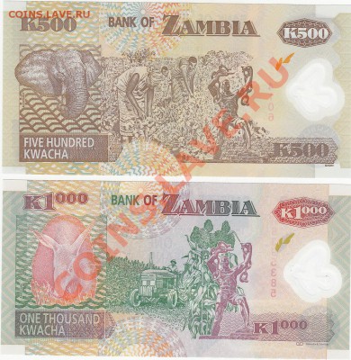 Замбия пластик 500 и 1000 квача до 31.01 22:00 мск - IMG_0009