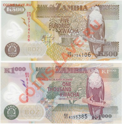 Замбия пластик 500 и 1000 квача до 31.01 22:00 мск - IMG_0008