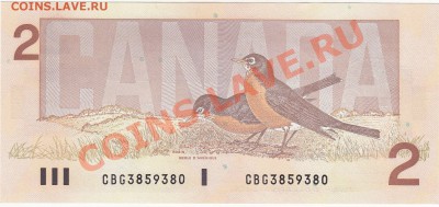 Канада 2 доллара 1986 UNC до 31.01 22:00 мск - IMG_0017