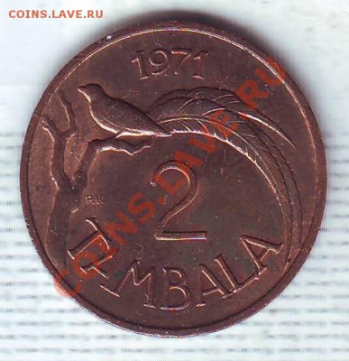 Малави.2 Тамбала.1971.Птичка. до 01.02 - 19710027.JPG