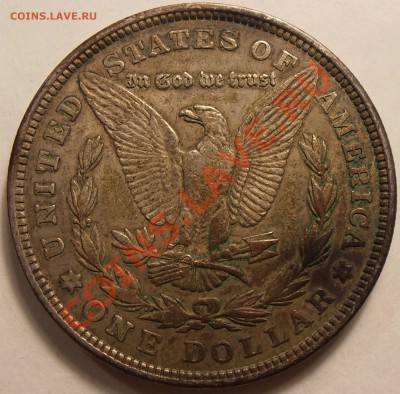 1 $ Моргана 1921, до 31.01.2014 в 22-00 Мск - P1010430.JPG