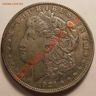 1 $ Моргана 1921, до 31.01.2014 в 22-00 Мск - P1010428.JPG