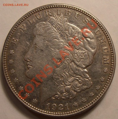 1 $ Моргана 1921 D, до 31.01.2014 в 22-00 Мск - P1010437.JPG