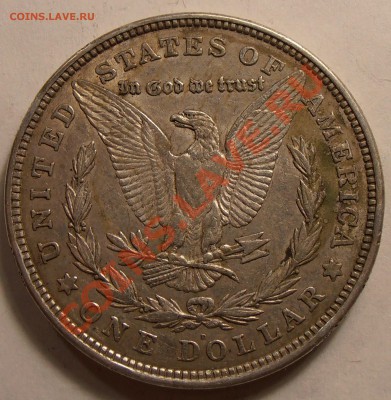 1 $ Моргана 1921 D, до 31.01.2014 в 22-00 Мск - P1010451.JPG