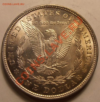 1 $ Моргана 1921, до 31.01.2014 в 22-00 Мск - P1010463.JPG