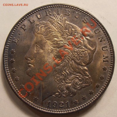 1 $ Моргана 1921, до 31.01.2014 в 22-00 Мск - P1010462.JPG