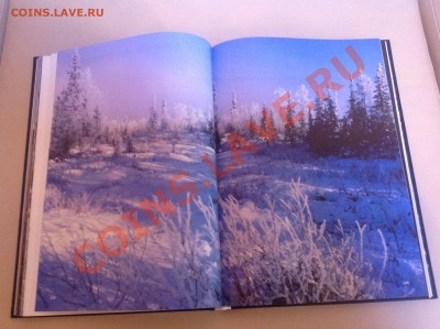Книга-фотоальбом <знакомьтесь ЯМАЛ> до 28.01.14 г - image
