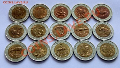 Красная книга 1991-1994 15 монет до 30,01,2014 22-00мск - DSC03949.JPG
