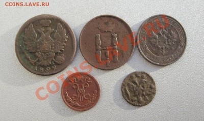 Медь Империи (5 шт.) до 31.01.2014 г.в 22:00 мск - IMG_1636