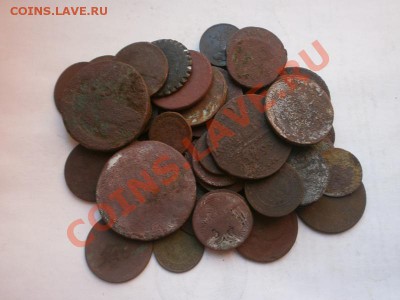 50 какаликов империи на опыты - Какалики на опыты1.JPG