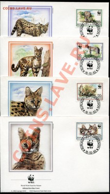 Предпродажная оценка 41 набор по 4 КПД WWF - img884