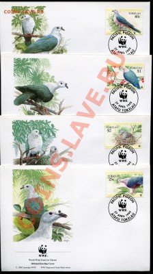 Предпродажная оценка 41 набор по 4 КПД WWF - img888