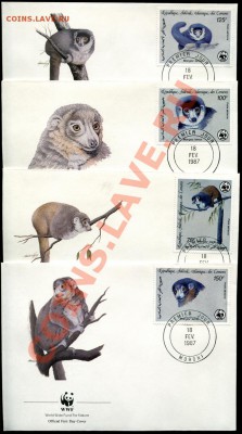 Предпродажная оценка 41 набор по 4 КПД WWF - img892