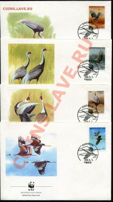 Предпродажная оценка 41 набор по 4 КПД WWF - img895