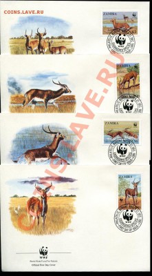 Предпродажная оценка 41 набор по 4 КПД WWF - img900