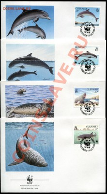Предпродажная оценка 41 набор по 4 КПД WWF - img905