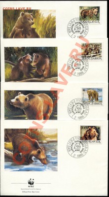 Предпродажная оценка 41 набор по 4 КПД WWF - img910