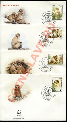 Предпродажная оценка 41 набор по 4 КПД WWF - img915