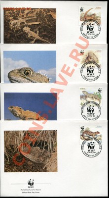 Предпродажная оценка 41 набор по 4 КПД WWF - img921