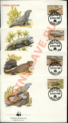 Предпродажная оценка 41 набор по 4 КПД WWF - img920