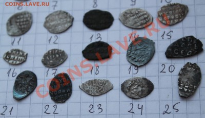 Помогите идентифицировать чешуйки - IMG_9428.JPG