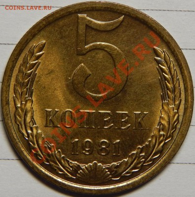 5 копеек 1981 UNC! до 31 января 22-00 - 5-81p