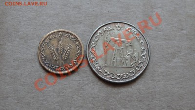 2 социальных жетона Татарстана до 03.02. в 22:30 - DSC09608.JPG