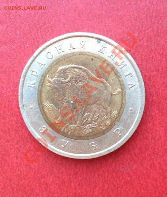 КК"Зубр"-1994 г. ------только сегодня до 30.01. в 21-00 МСК - ЗУБР (2).JPG