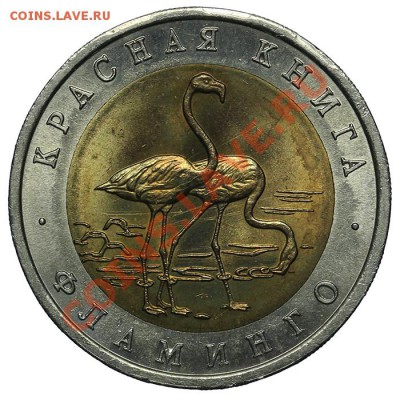 50 рублей 1994 Фламинго - 05.02. - 23:00 - QA1A9902.JPG