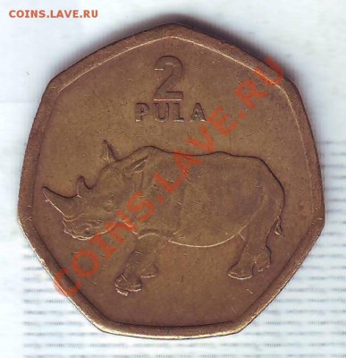 Ботсвана.2 Пула.2004.Носорог. до 03.02 - 20040007.JPG