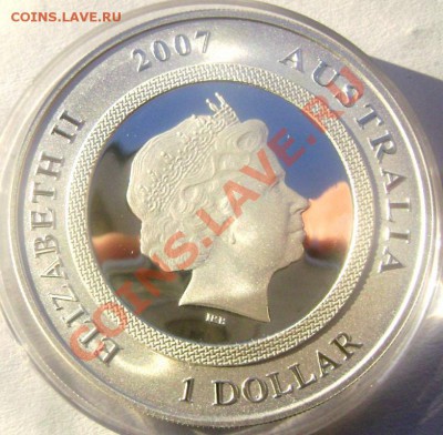 1 австралийский доллар 2007 года ( поросёнок) 02.02.14 22-00 - 3923683063_3