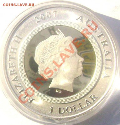 1 австралийский доллар 2007 года ( поросёнок) 02.02.14 22-00 - 3923683063_1