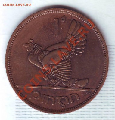 Ирландия.Пенни.1948.Курица. до 05.02 - 19480009.JPG
