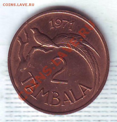 Малави.2 Тамбала.1971.Птичка. до 06.02 - 19710031.JPG