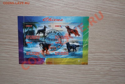 Марки блоки СОБАКИ - IMG_7416.JPG