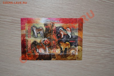 Марки блоки СОБАКИ - IMG_7414.JPG