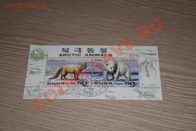 Марки блоки Лошади, мыши, пауки и другие - IMG_7432.JPG