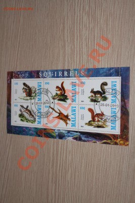 Марки блоки Лошади, мыши, пауки и другие - IMG_7431.JPG