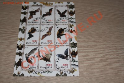 Марки блоки Лошади, мыши, пауки и другие - IMG_7429.JPG