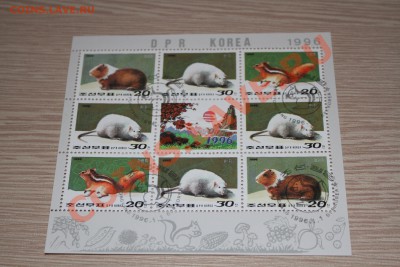 Марки блоки Лошади, мыши, пауки и другие - IMG_7428.JPG