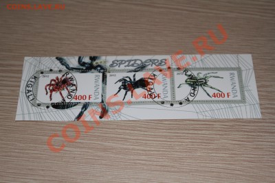 Марки блоки Лошади, мыши, пауки и другие - IMG_7426.JPG