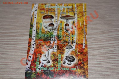Марки блоки ГРИБЫ 22 шт - IMG_7455.JPG
