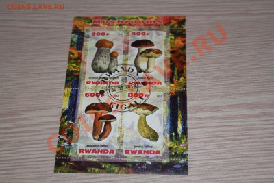 Марки блоки ГРИБЫ 22 шт - IMG_7454.JPG