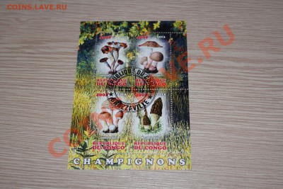 Марки блоки ГРИБЫ 22 шт - IMG_7449.JPG