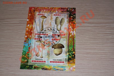 Марки блоки ГРИБЫ 22 шт - IMG_7448.JPG