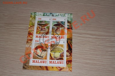 Марки блоки ГРИБЫ 22 шт - IMG_7447.JPG