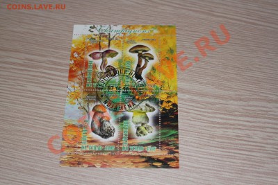 Марки блоки ГРИБЫ 22 шт - IMG_7446.JPG