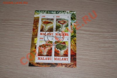 Марки блоки ГРИБЫ 22 шт - IMG_7445.JPG